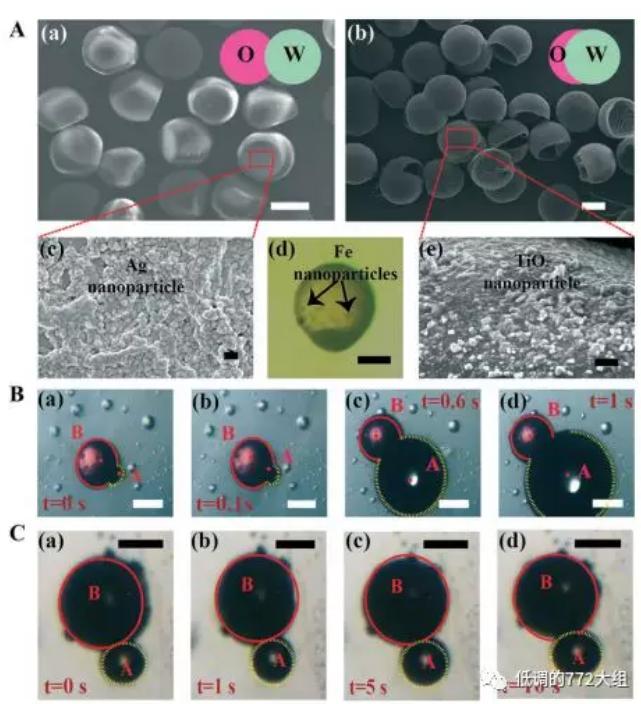 图2. 两种结构的Janus颗粒 图2. 两种结构的Janus颗粒