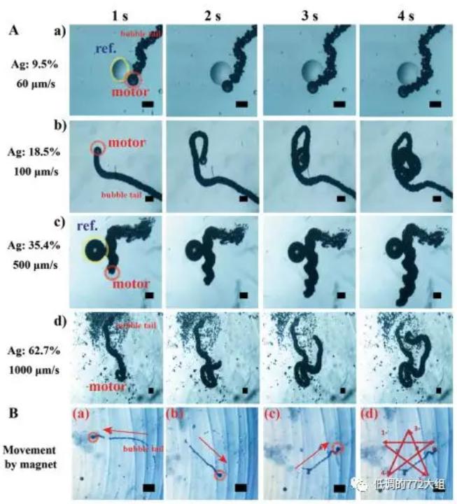 图3. 不同Ag颗粒表面浓度的自驱动微马达驱动速度和在磁场作用下的五角星运动轨迹 图3. 不同Ag颗粒表面浓度的自驱动微马达驱动速度和在磁场作用下的五角星运动轨迹