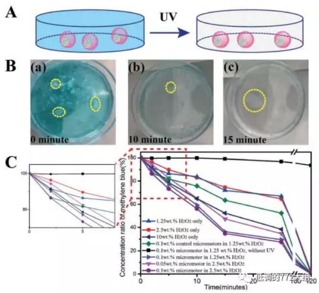图4. 自驱动颗粒的亚甲基蓝降解研究 图4. 自驱动颗粒的亚甲基蓝降解研究