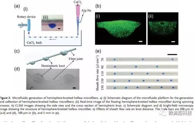 微流控免油纺丝法制备具有不同结点和可灌注通道的仿项链微纤维