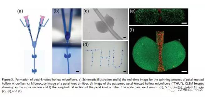 微流控免油纺丝法制备具有不同结点和可灌注通道的仿项链微纤维