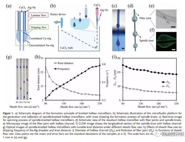微流控免油纺丝法制备具有不同结点和可灌注通道的仿项链微纤维