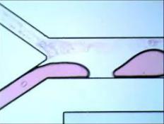 液滴生成与操作