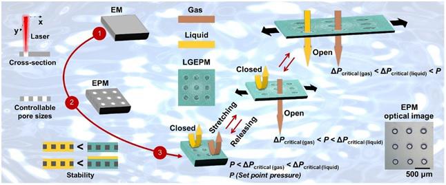 受动物胃粘膜启发双门控液体复合高分子膜系统用于开发仿生抗污染微流控新技术