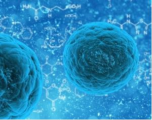 3D细胞培养 3D细胞培养