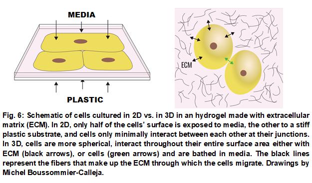 为什么要多加一个第三维