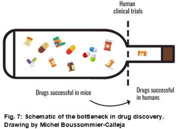 用于药物发现的3D体外模型
