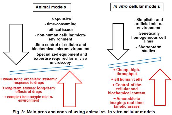大多数优点和缺点适用于整个体外模型，即2D和3D蜂窝系统