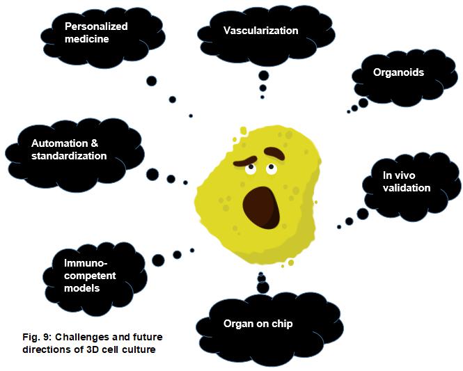 显微镜下3D细胞培养的未来