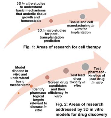 图1  细胞疗法或再生医学