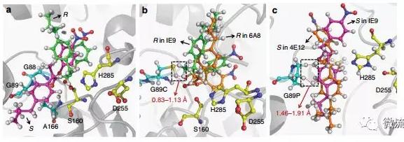 针对该问题，上海交通大学杨广宇研究员团队建立了基于双通道液滴微流控技术的酶立体选择性超高通量筛选方法，能够在微液滴中以高达每天107个突变体的速度同时检测目标酶对两种对映体底物的催化活性，并高效分选出阳性个体。