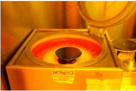 旋转涂布机的照片