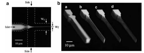 流动聚焦微流体混合