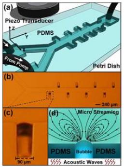 超声主动微流体混合