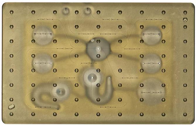 开放式微流控系统：同时研究多个器官系统上的药物效应