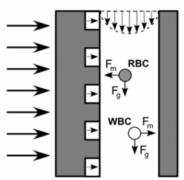 用微流控进行磁性颗粒分选