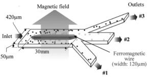 用于连续微流体颗粒分选的软磁元件