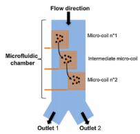 用于微流控颗粒分选的电磁体