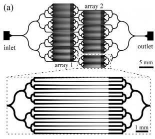 用于 线虫 诱捕的微流控阵列夹具