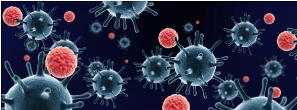 液滴测序（DROP-SEQ）