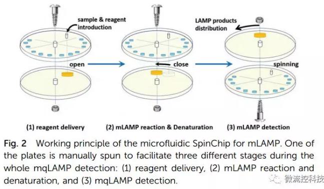纸基聚合物基混合可旋转微流控芯片实现多种传染性疾病的及时定量诊断