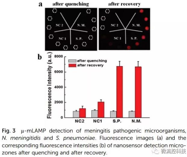 纸基聚合物基混合可旋转微流控芯片实现多种传染性疾病的及时定量诊断