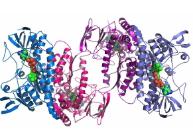 芯片实验室和蛋白质组学