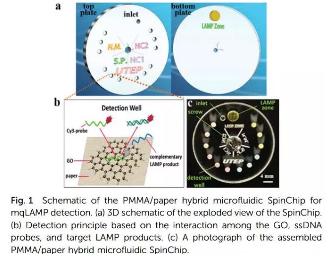 纸基聚合物基混合可旋转微流控芯片实现多种传染性疾病的及时定量诊断