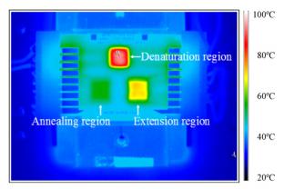 用于PCR微流体装置的微热控制单元的红外图像