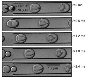 显示通过氯化铁溶液液滴与氢氧化铵液滴在通道旁边的电极施加的电场的影响下形成氧化铁纳米颗粒的图像。来自Frenz等人的图片 “用于合成磁性氧化铁纳米粒子的基于液滴的微反应器”