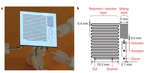 图16：用于反应优化的微流控反应器，其中改变反应温度，试剂浓度和停留时间以确定糖基化反应的最佳反应条件。降低了由硅和派热克斯制成的整个芯片。b显示芯片的设计，采用三个供体，受体和活化剂入口，随后将其混合并使其反应，在反应结束时加入淬火剂。Ratner等人的图片&nbsp;“有机化学中基于微反应器的反应优化 - 糖基化作为挑战”。