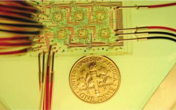 图1：一种微流体恒化装置，展示了可以包含在非常小的尺寸内的高密度微流体通道。来自Balagaddé等人的图片&nbsp;“长期监测在微型恒温器中进行程序化群体控制的细菌。