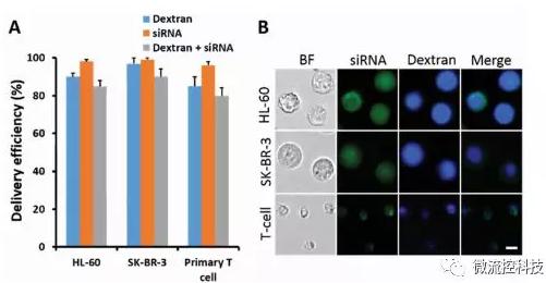 微流控芯片技术助力免疫治疗，将CRISPR体系传递到人类T细胞