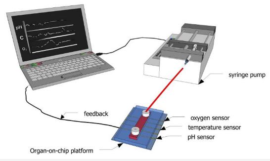 图1：示意图显示了如何使用传感器连续监测微流体通道内的生化参数。