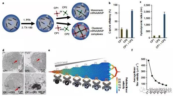 基于微流控芯片的新型的液体活检技术