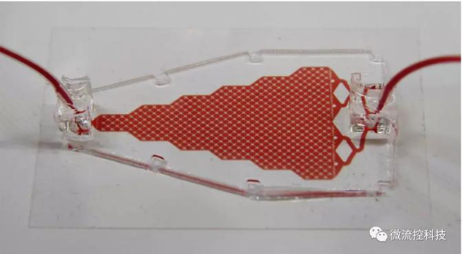 循环肿瘤细胞（CTCs）芯片