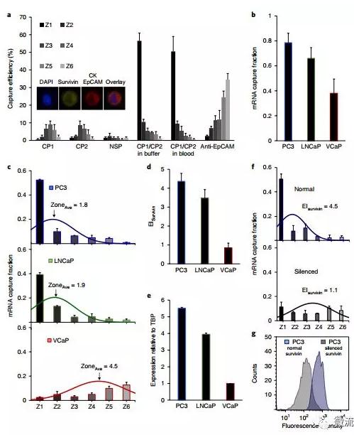基于微流控芯片的新型液体活检技术，助力前列腺癌诊疗