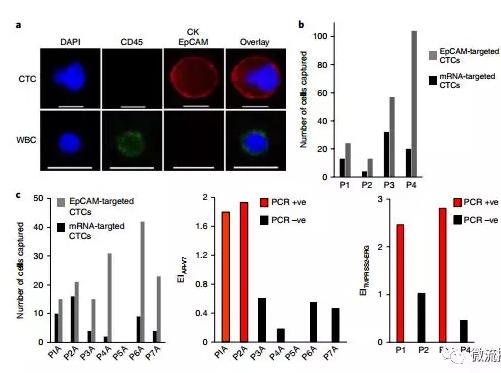 基于微流控芯片的新型液体活检技术，助力前列腺癌诊疗