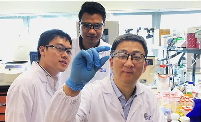 微流控技术使得低成本无标记疾病诊断成为可能