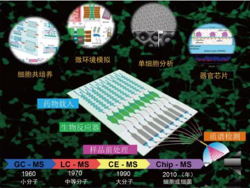 小芯片 大用途 微流控芯片细胞分析 小芯片 大用途 微流控芯片细胞分析