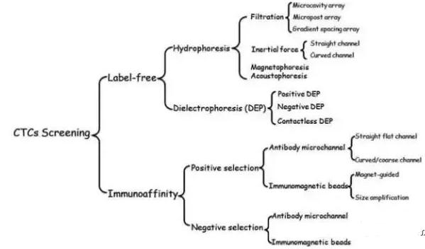 图2：微流控系统分离CTCs的方法