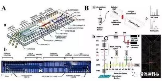 图5：分析cNAs的微流控系统