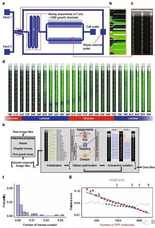 球最小的实验室, 集成微流控动态可控监测单细胞基因调控