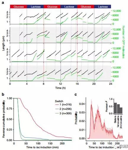 球最小的实验室, 集成微流控动态可控监测单细胞基因调控