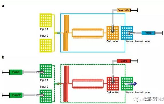 球最小的实验室, 集成微流控动态可控监测单细胞基因调控