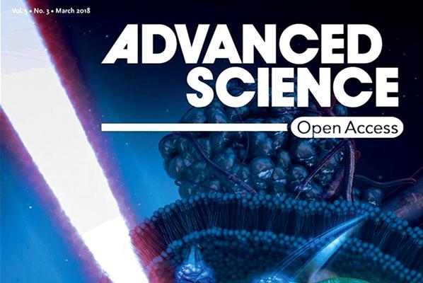 在多腔室微囊系统研究方面取得重要进展 在多腔室微囊系统研究方面取得重要进展