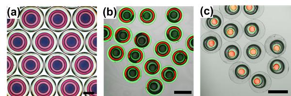 图1. 以四重乳液为模板可控制备“特洛伊木马式”微囊 图1. 以四重乳液为模板可控制备“特洛伊木马式”微囊