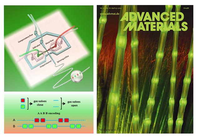 微流控技术仿生合成微米纤维生物材料新进展