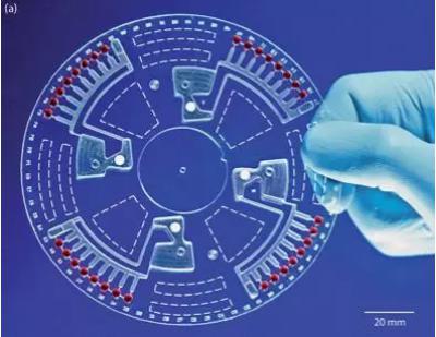 图9 吸塑工艺得到的离心式微流控芯片