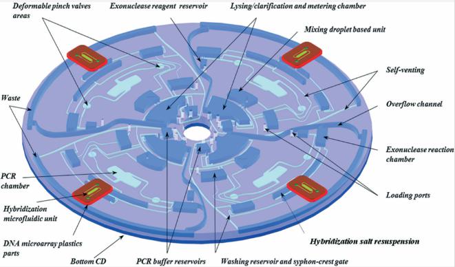 图2：Lab-on-Disc设备的显示，显示了四个平行测试以及各个组件，指示裂解，PCR扩增，外切核酸酶反应，微阵列杂交等功能。